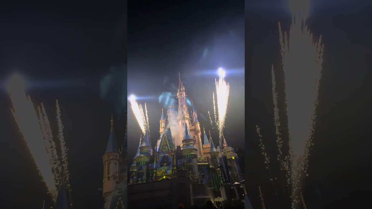 Happily Ever After #disney #disneyparks #magickingdom #fireworks #happilyeverafter 