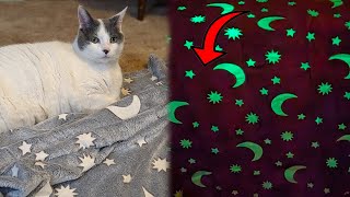 This Glow In The Dark Blanket is Cute and Comfy! screenshot 5