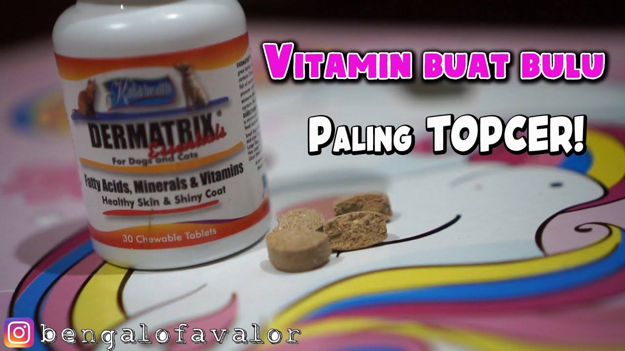 REVIEW VITAMIN BULU DERMATRIX - YouTube