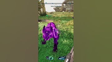 Zo gemakkelijk vermaakt