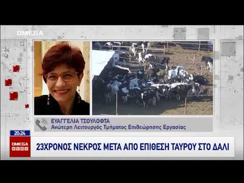 Βίντεο: Σκότωσε ο θρυμματιστής τον βροντή;