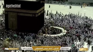 المعصراوي | رويس عن يعقوب | النصف الثاني من البقرة | قناة القرآن الكريم