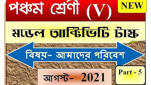 Class 5 Science Model Activity Task Part 5 | August 2021 |July(2nd Series) Full Solved SmArt TeAcher