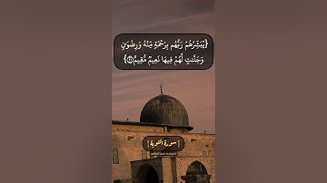 سورة التوبة الآية ٢٠ الى ٢٢ بصوت الشيخ محمد صديق المنشاوي