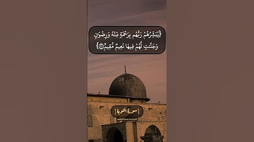 سورة التوبة الآية ٢٠ الى ٢٢ بصوت الشيخ محمد صديق المنشاوي