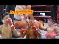     theoun theara cheoun lvai amarin ko thai boxing kun khmer