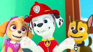 PAW Patrol On A Roll - Walkthrough Gameplay for Kids HD