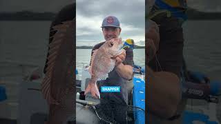 Save fuel with microbaiting?