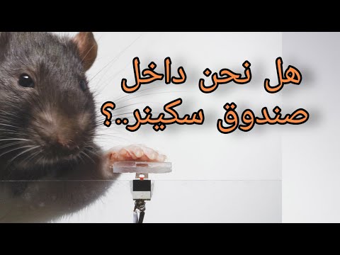 تجربة سكينر تشرح كيمياء الدماغ التي سيطرو علينا بها شركات ماكرة