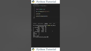 Counting Unique Values Per Row and Column in Pandas | Python Tutorial