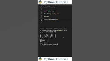 Counting Unique Values Per Row and Column in Pandas | Python Tutorial