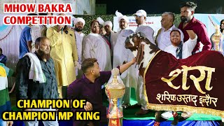 Mhow Bakra Competition All Over MP Championship MP King 2024