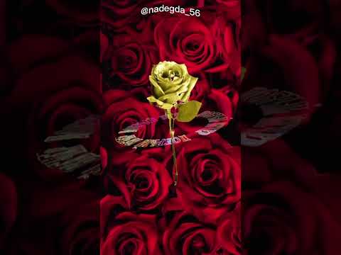 Добрый вечер