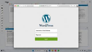 I Will Create Custom WordPress Plugins and Themes for Your Website