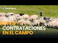 Sin extranjeros no hay cosecha: uno de cada tres jornaleros es inmigrante