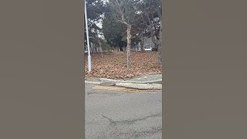 거울반사의 원리