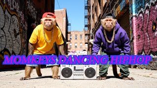 2 MONKEYS DANCE BATTLE 🐒💥 | Hiphop Moves That Shocked the Jungle!