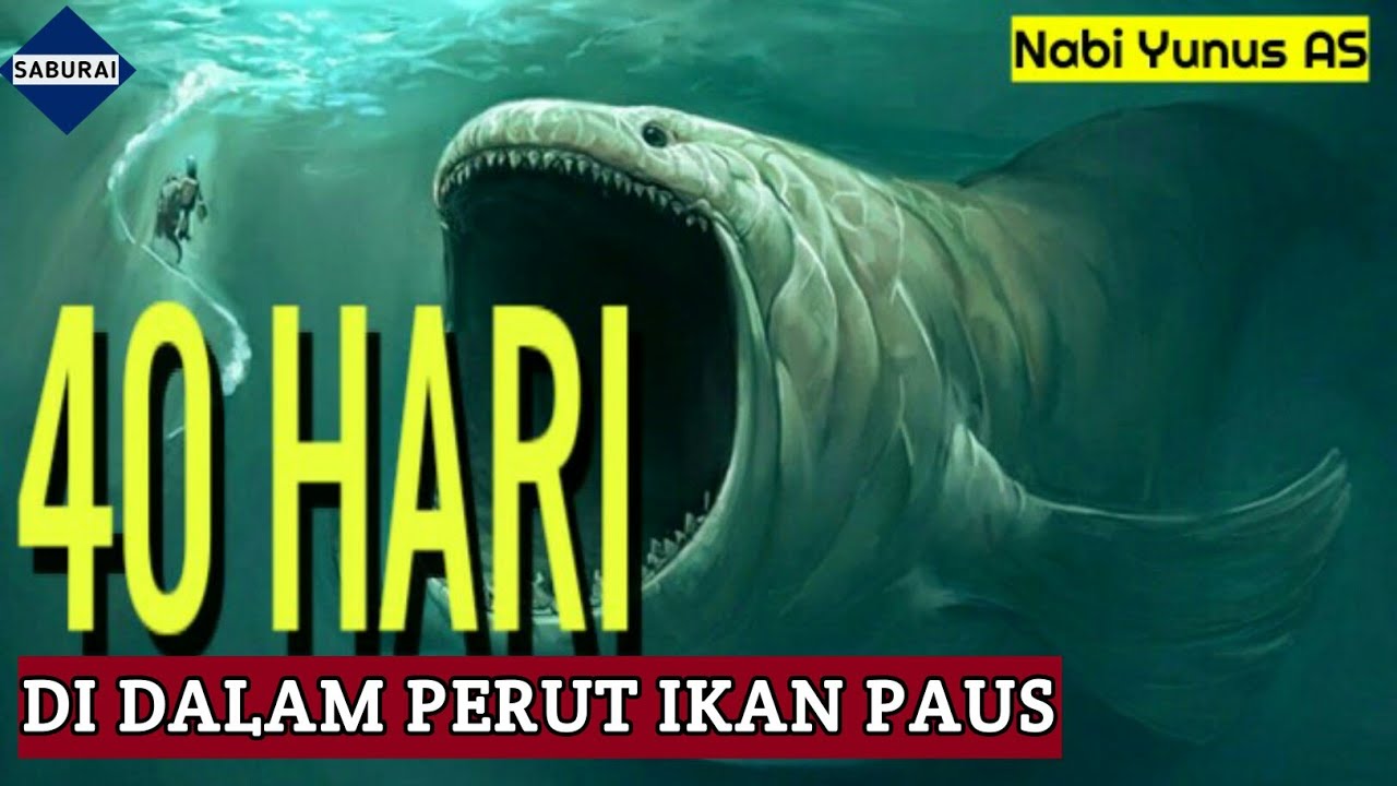 KISAH NABI YUNUS DI DALAM PERUT IKAN PAUS - YouTube