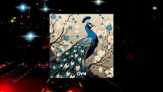 OVN - Peacock (Full Album Mix) 🦚