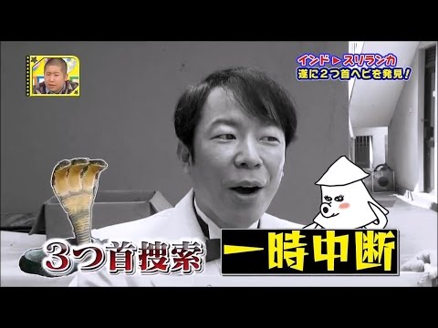 さまぁ～ず 【嘘のような本当の話。インド&インドネシア特集05】 『衝撃映像！2つ首の蛇がいた』 【iktk121213SP】 オリラジ ハライチ 要潤 芹那 ダンディ坂野 @nothetv7172