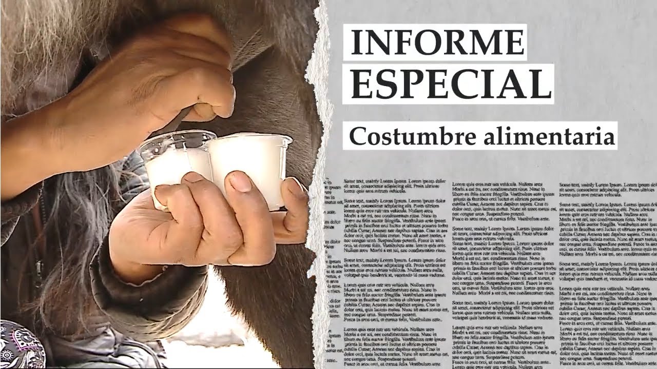 Leche de burra 🐎 ¿un alimento milagroso? - Informe especial