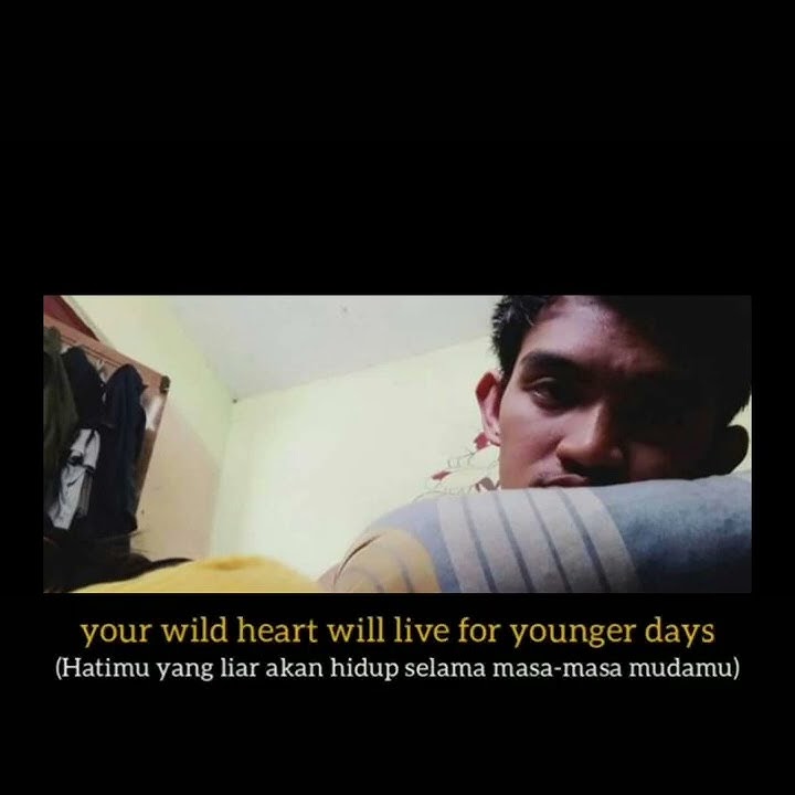 story wa Avicii . the night..terbaru
