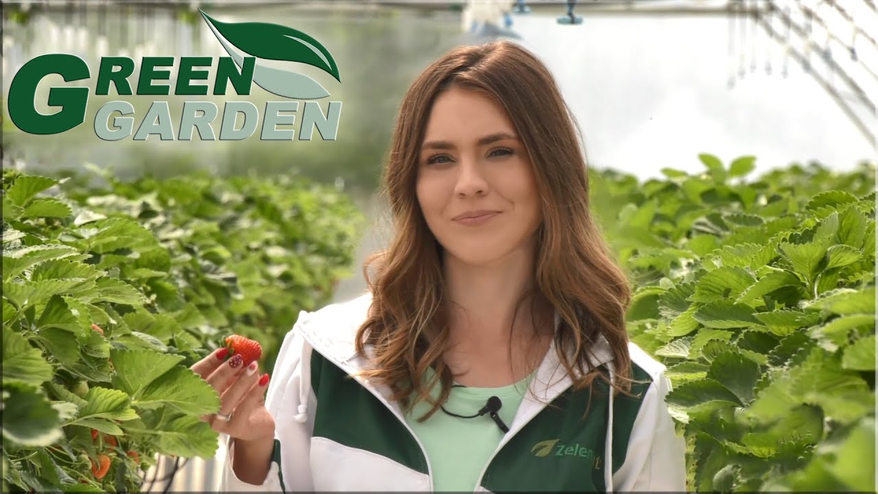 🟢 Green Garden - Gajenje stalnorađajućih jagoda (E004)