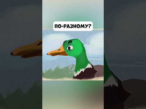 Ты знаешь, что все какают по-разному?