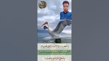 سورة العصر كاملة بصوت عذب🤩 مع مشهد جميل💕