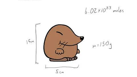 7A How big is a mole