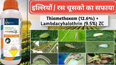 Long star insecticide/Thiamethoxam (12.6%) + Lambdacyhalothrin (9.5%) ZC/Agfarm insecticide uses