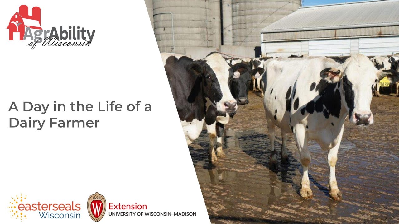 A Day in the Life of a Dairy Farmer