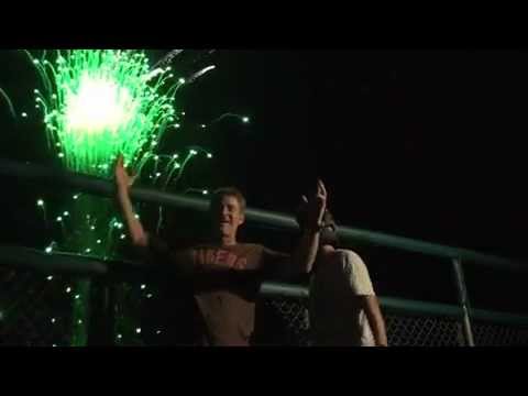 Detroit Tiger Fireworks
