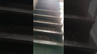 Do saluton amikoj denove garanito kiu estas muntita por fina muntado garanito-taŭgo