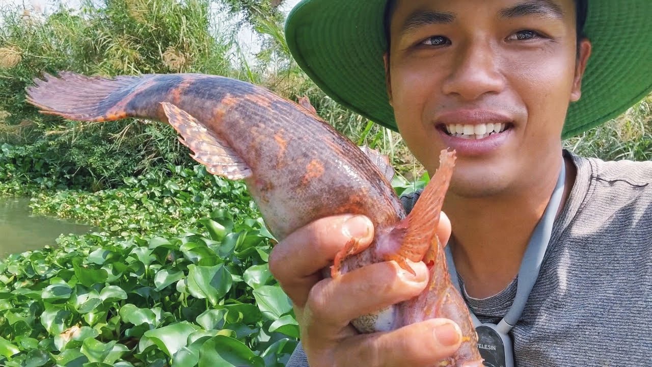 Lần Đầu Thăm Lợp Ở khu Vực Mới Và Cái Kết Bất Ngờ 