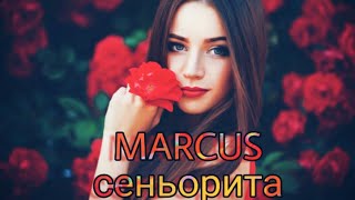 MARCUS - сеньорита (remix)