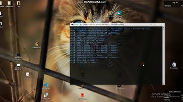 Clean up your desktop with this Python script