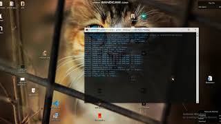 Clean up your desktop with this Python script