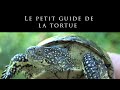 Le petit guide de la tortue