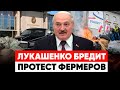 ЛУКАШЕНКО СНОВА НЕ ВЫПИЛ ТАБЛЕТКИ. Фермеры вступают в стычки с полицией. Латвия укрепляет границу