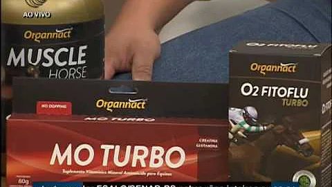 Como exercitar seu cavalo?