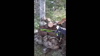 Greenworks 60V 18" Chainsaw video review by Nikki