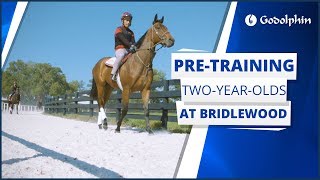 How Do We Identify Talent At Bridlewood Farm?