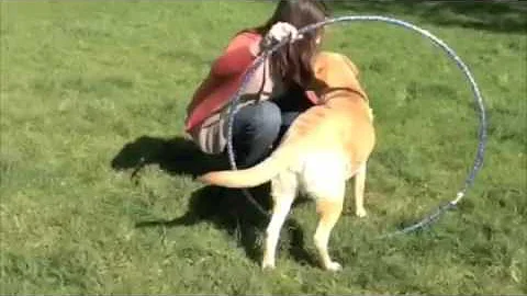 Anna Smelser's Hula Hoop Jump