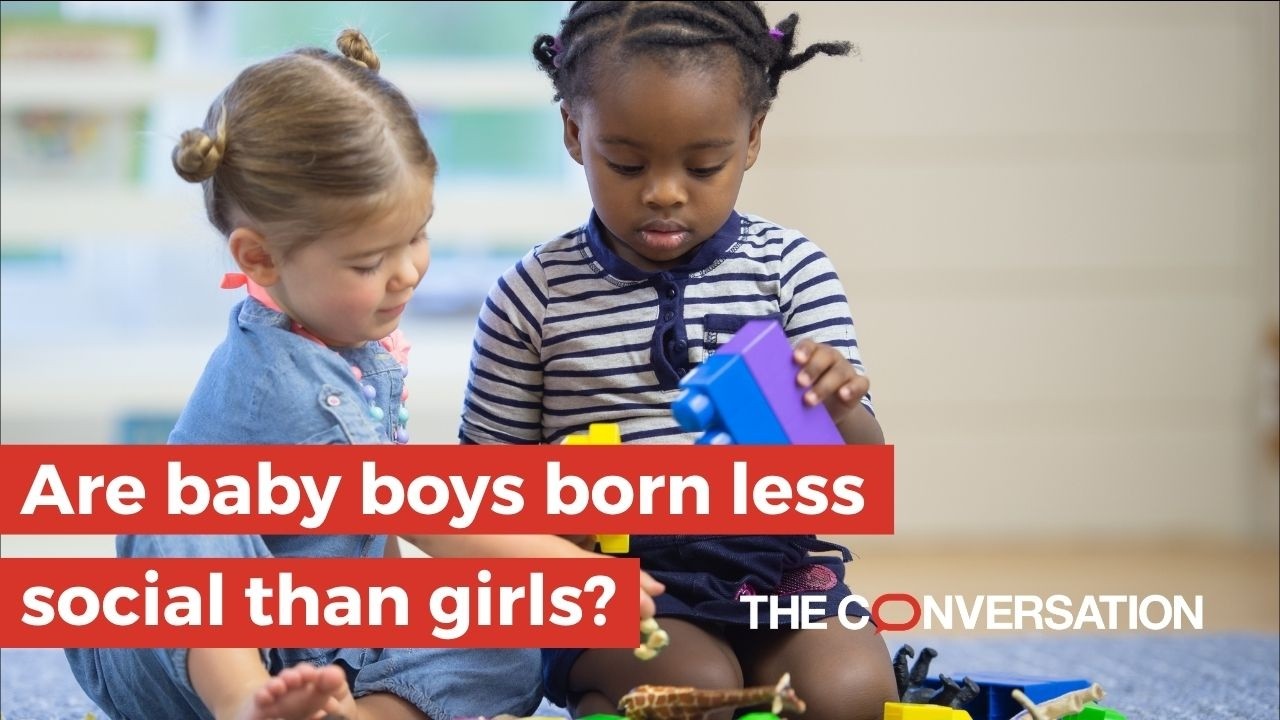 Thumbnail for Are baby boys born less social than girls?