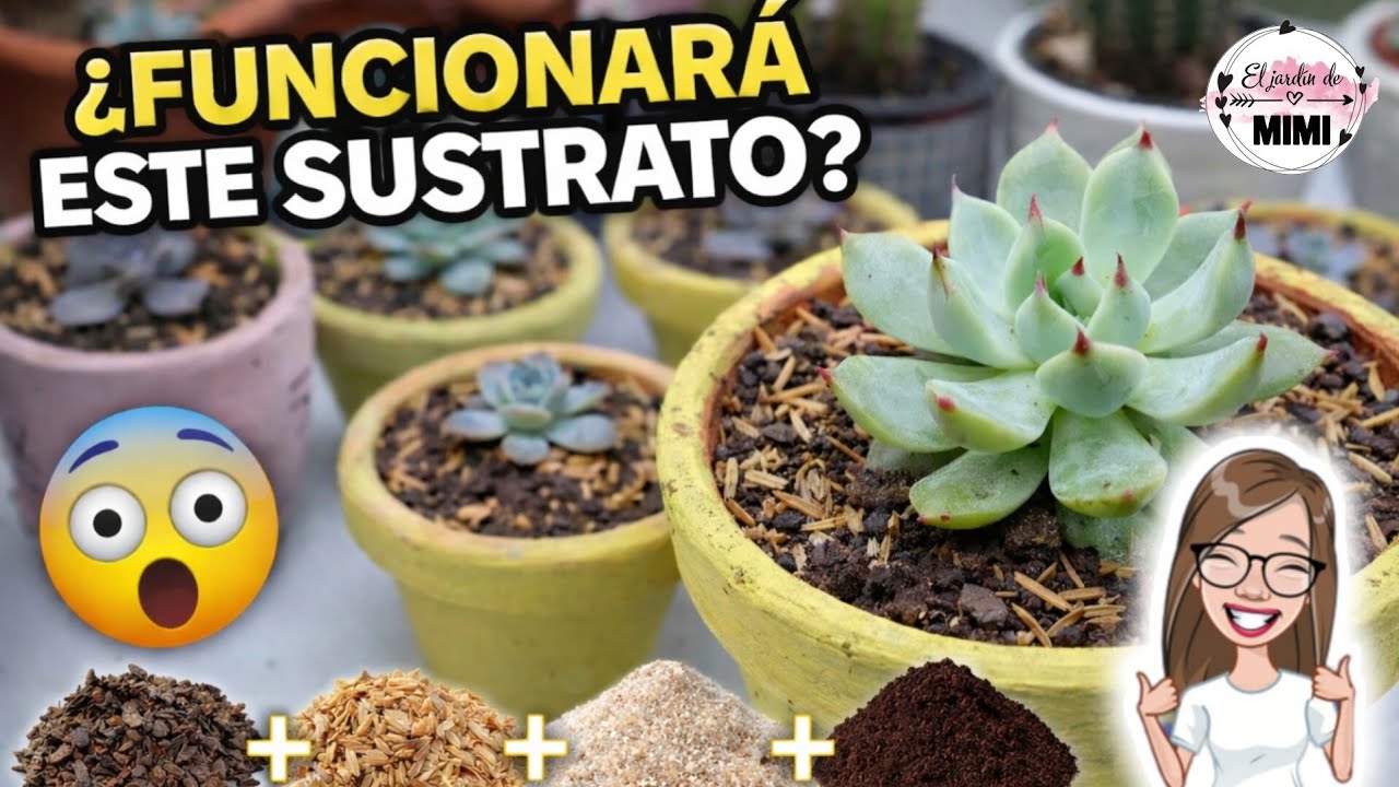 👉 «Я попробовал, и вот что получилось…»