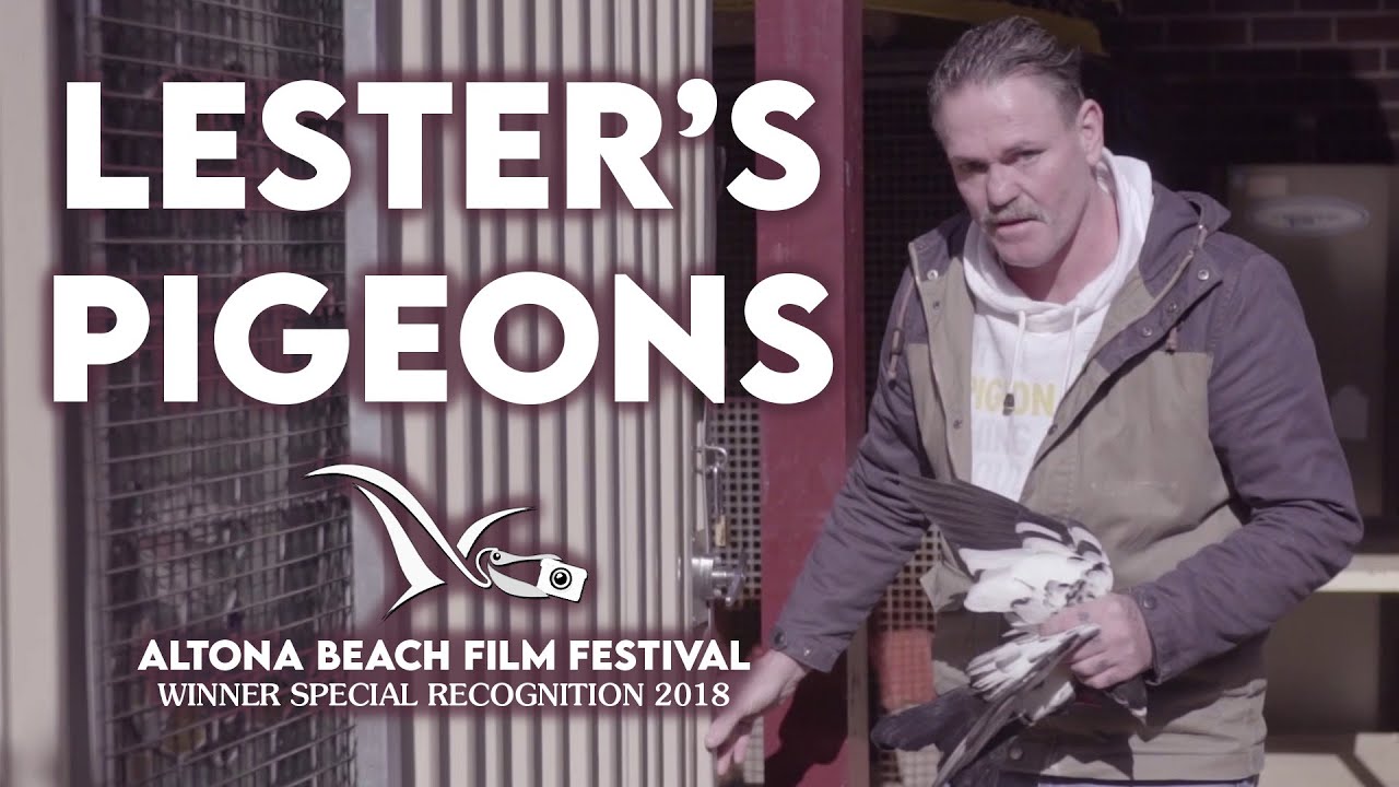𝗟𝗘𝗦𝗧𝗘𝗥'𝗦 𝗣𝗜𝗚𝗘𝗢𝗡𝗦 (𝟮𝟬𝟭𝟴) | Altona Beach Film Festival
