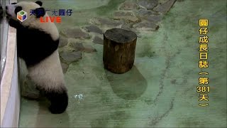 20140722 16 00 14 353 D381
