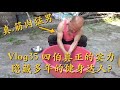 Vlog35 又是插秧的好季节，王刚的四伯亲自下田里捡螺丝烹饪一道农家美味