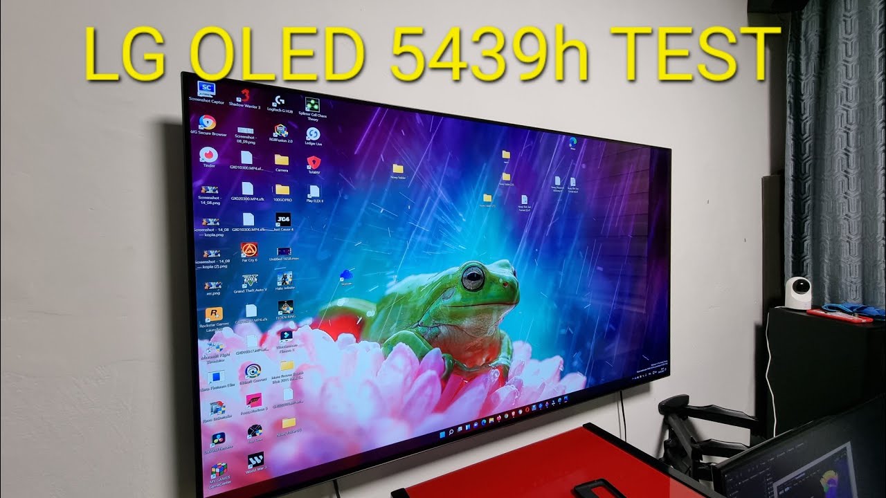 LG OLED BX 2022 BURN IN TEST 5439h 